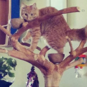 Meet your Posher, Darlene